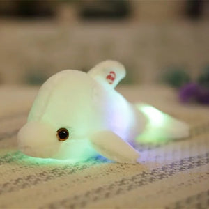 Dolphin Glowing LED Light Plush Toy (Medium/Large)